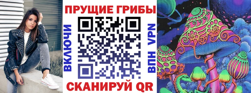 МЕГА вход  Звенигово  Псилоцибиновые грибы Psilocybe 